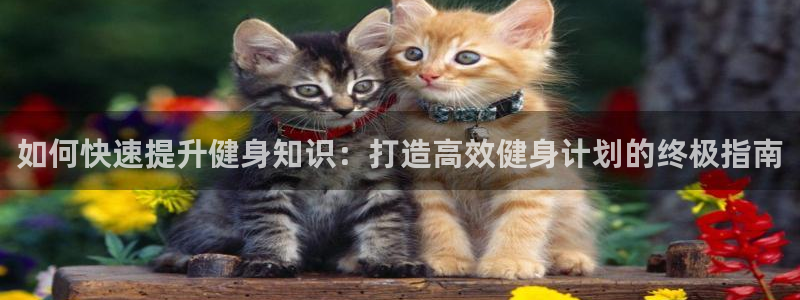 qy球友会官网app下载