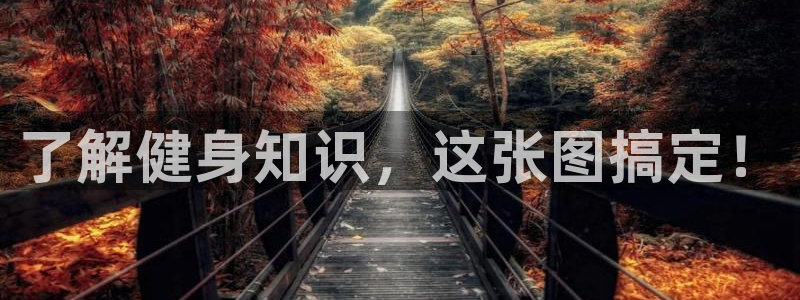 qy球友会官网app下载