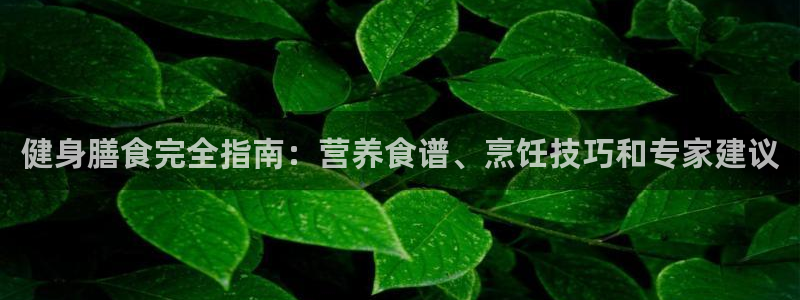 QY球友会官网